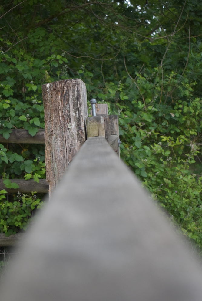 A long wooden fence post leading into a green, leafy background.